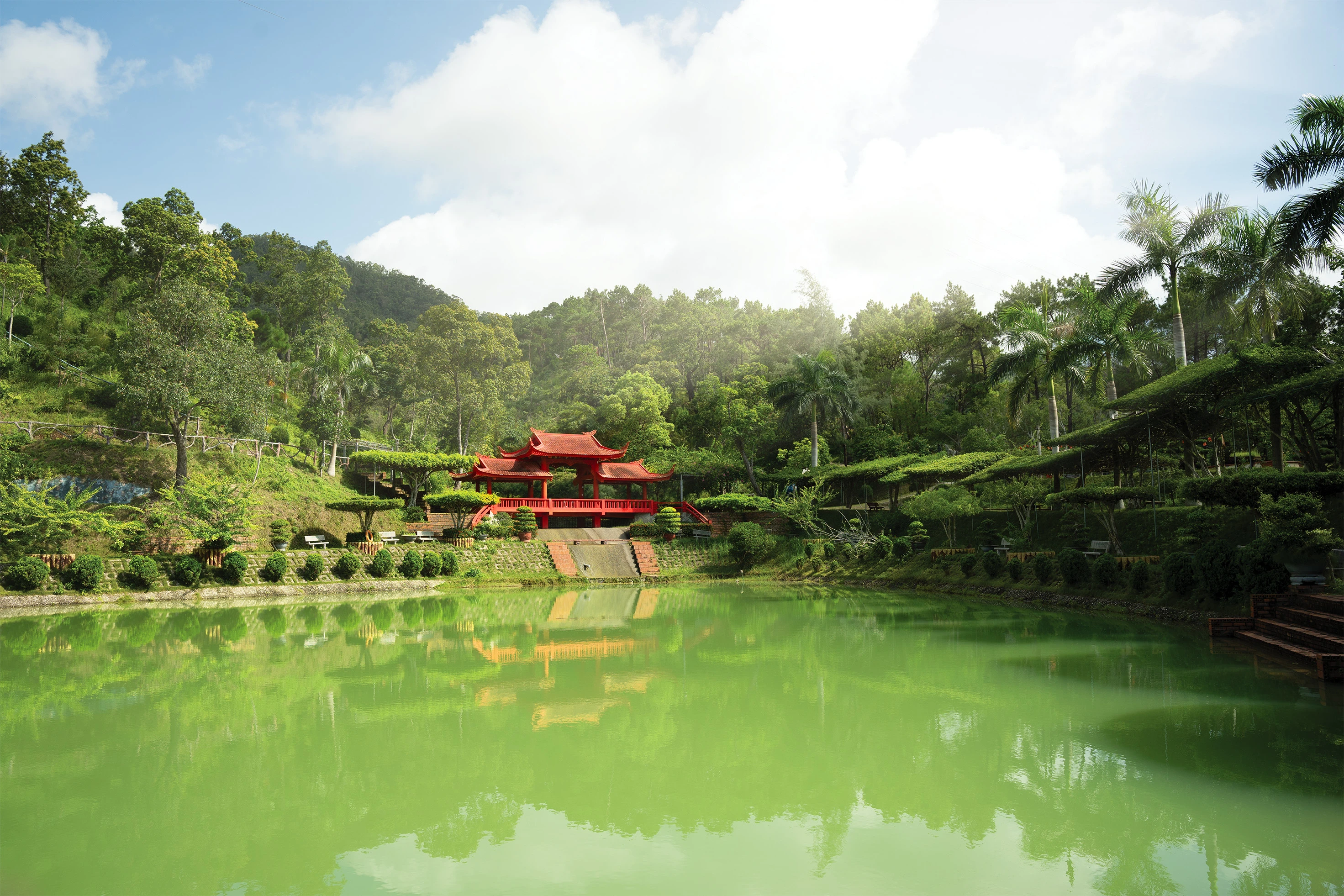 Bái Tử Long Pine Hill